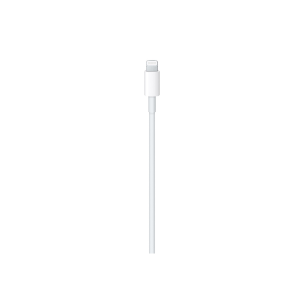 Apple Câble USB-C vers Lightning (1 m)