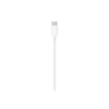 Apple Câble USB-C vers Lightning (1 m)